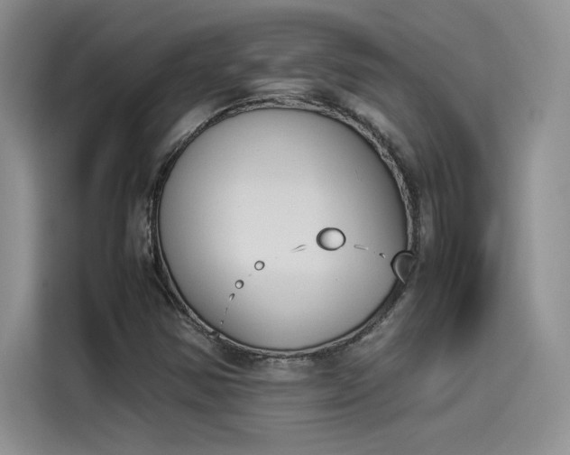X0000114231354200910161601