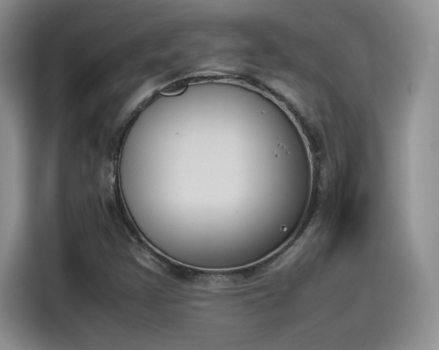 X0000114231355200910161601