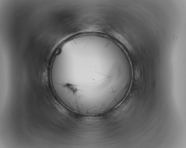X0000114231356200910161601