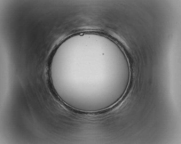 X0000114231357200910161601