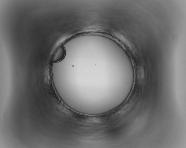 X0000114231358200910161601