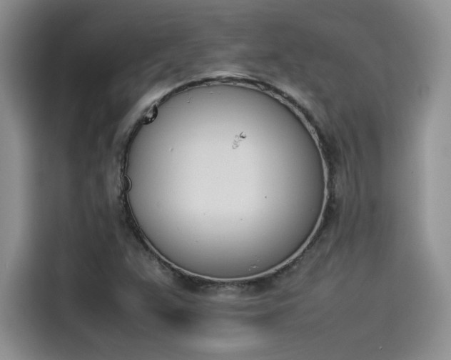X0000114231359200910161601