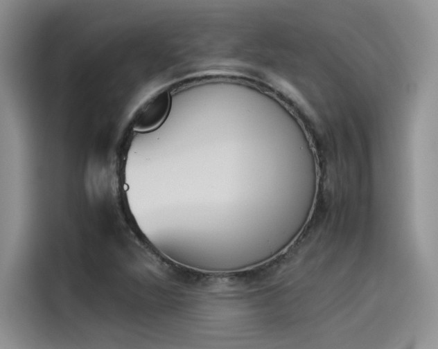 X0000114231360200910161601
