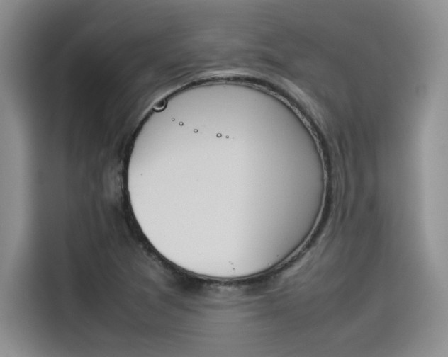 X0000114231361200910161601