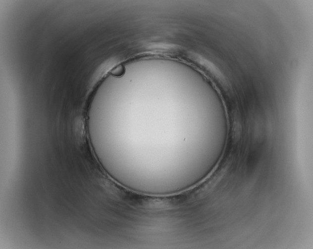 X0000114231362200910161601