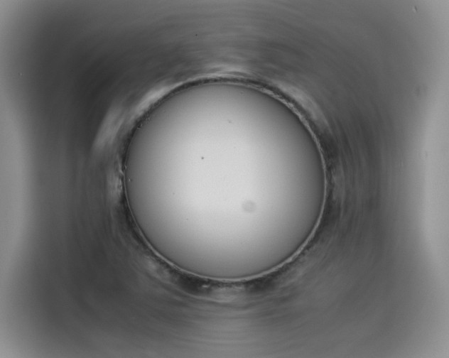 X0000114231363200910161601