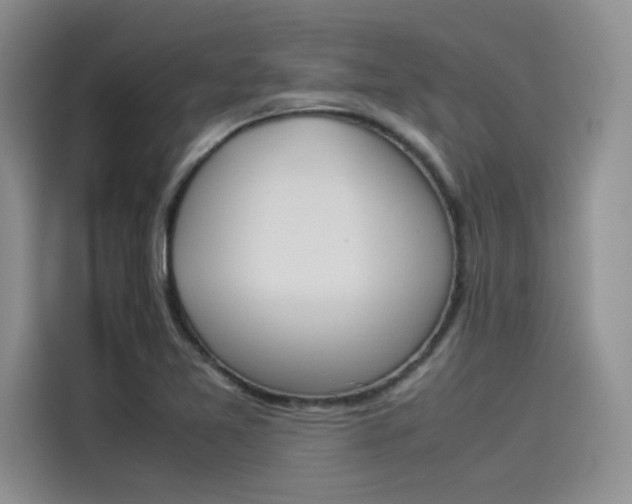 X0000114231365200910161601