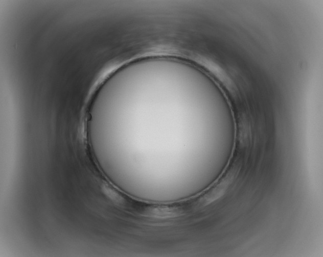 X0000114231366200910161601