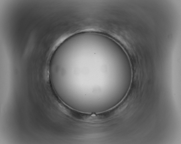 X0000114231367200910161601