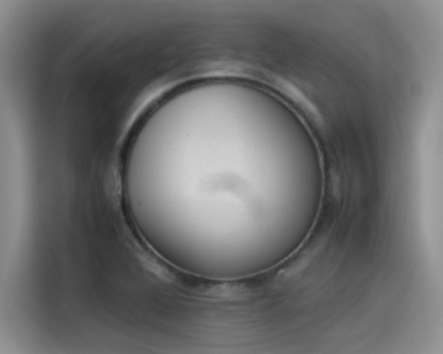 X0000114231368200910161601