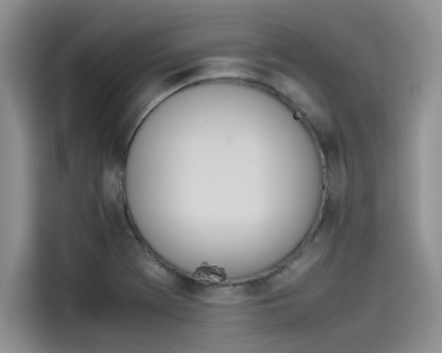 X0000114231369200910161601
