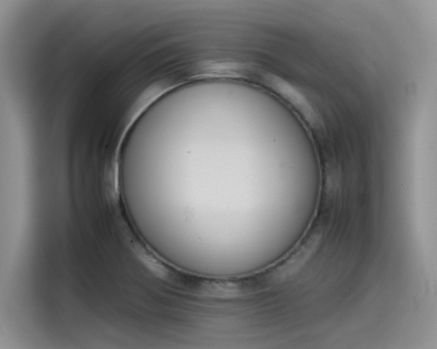X0000114231370200910161601