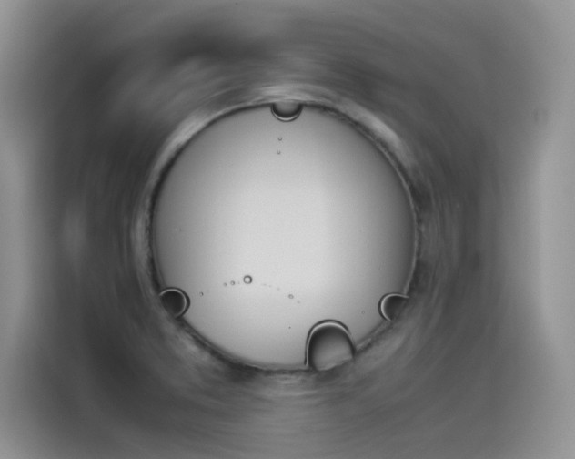 X0000114231373200910161601