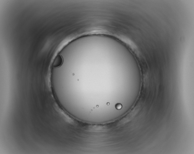X0000114231374200910161601