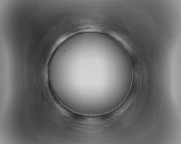 X0000114231375200910161601