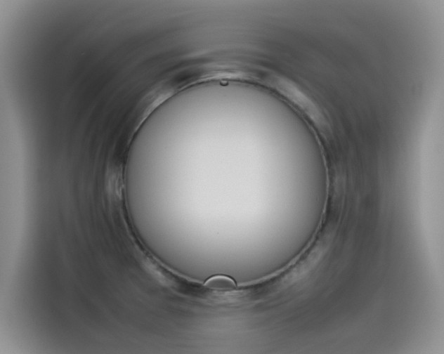 X0000114231377200910161601