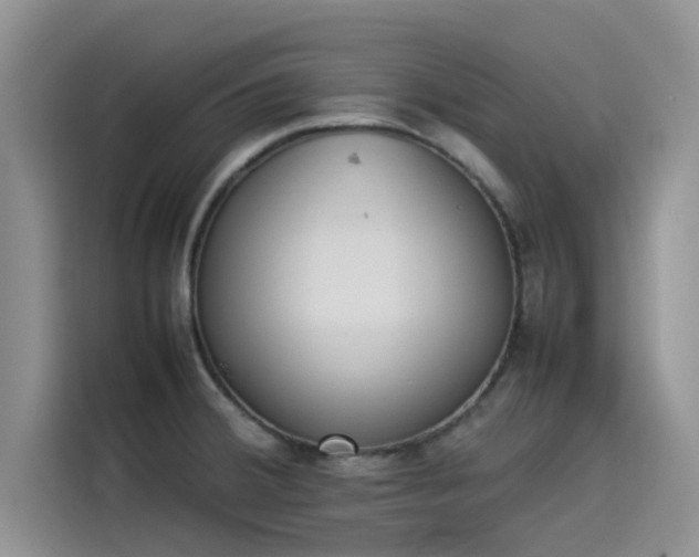 X0000114231380200910161601