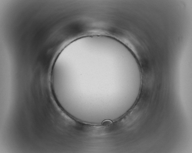 X0000114231381200910161601