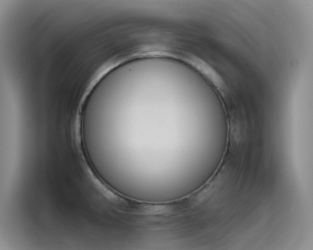 X0000114231382200910161601