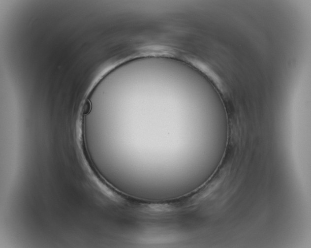 X0000114231383200910161601