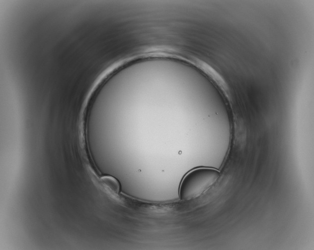 X0000114231384200910161601