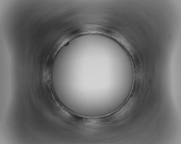 X0000114231385200910161601