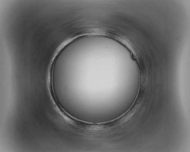 X0000114231387200910161601