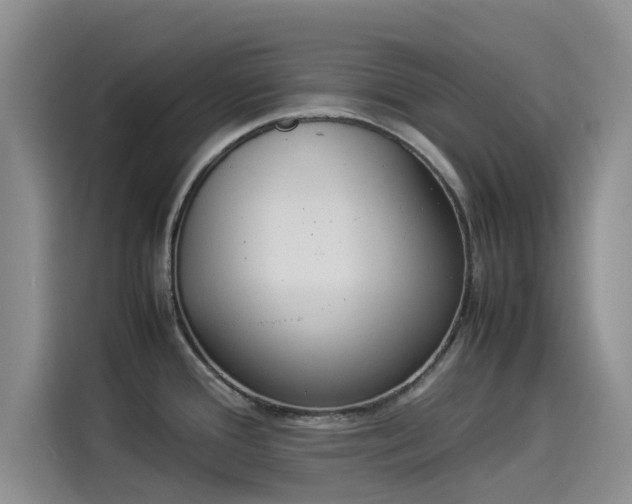 X0000114231388200910161601
