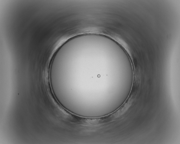 X0000114231389200910161601