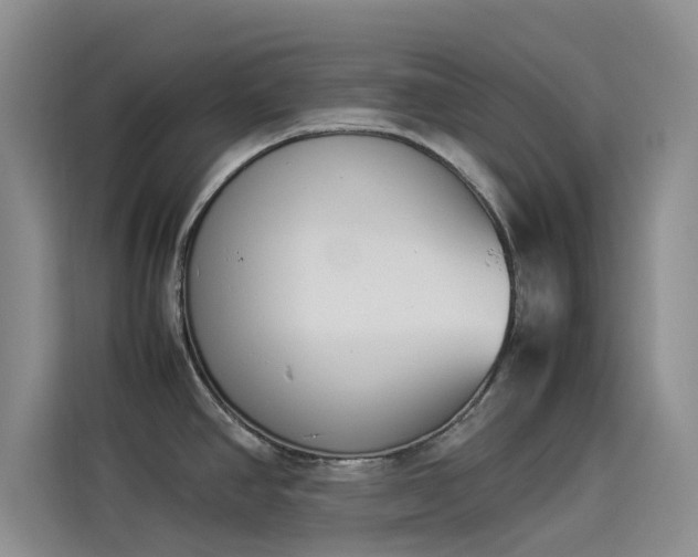 X0000114231390200910161601