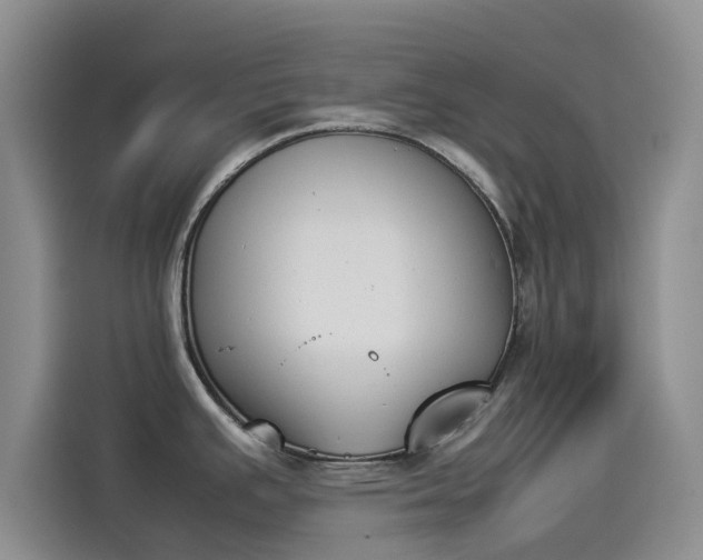 X0000114231391200910161601