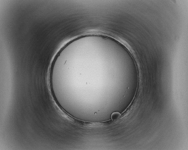 X0000114231392200910161601
