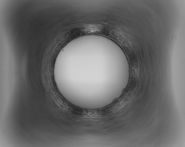 X0000114231393200910161600