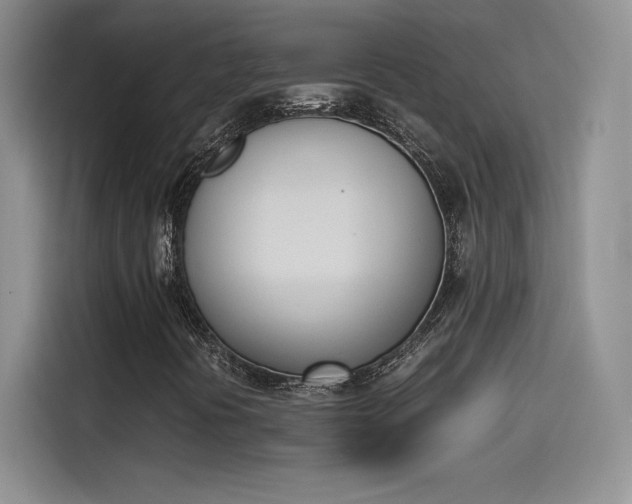 X0000114231394200910161600