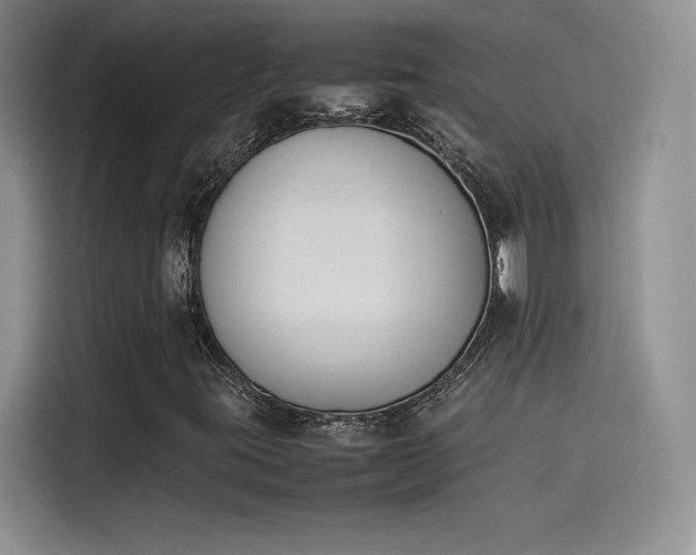 X0000114231395200910161600