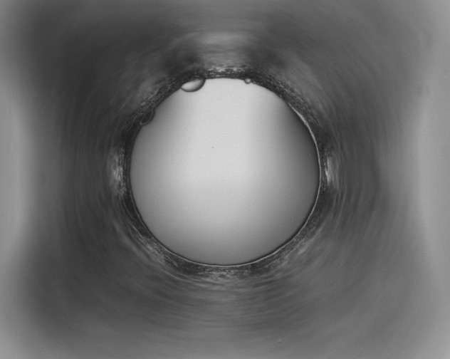 X0000114231396200910161600