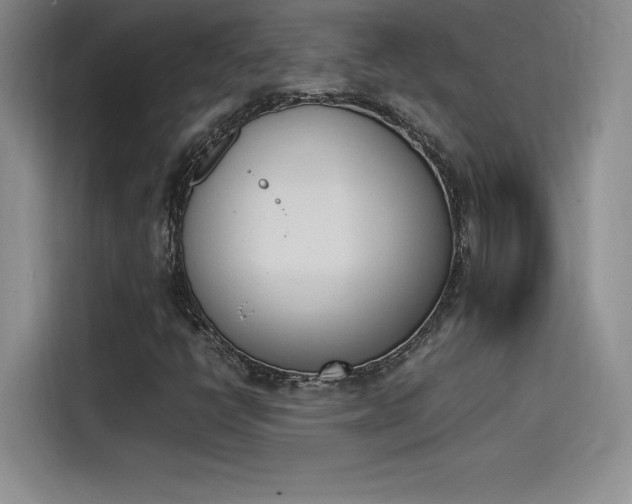 X0000114231398200910161600