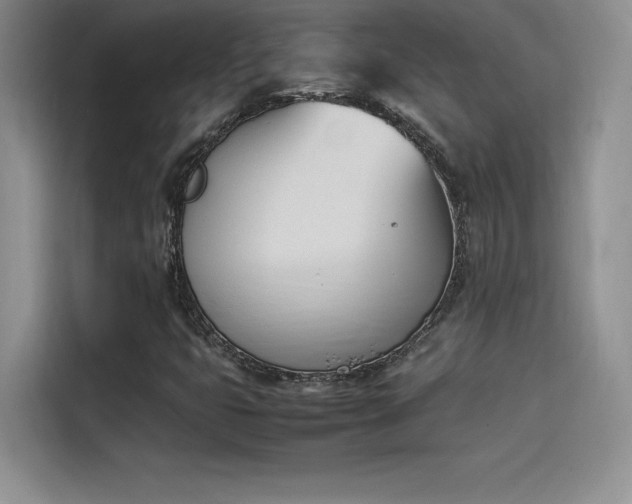 X0000114231399200910161600