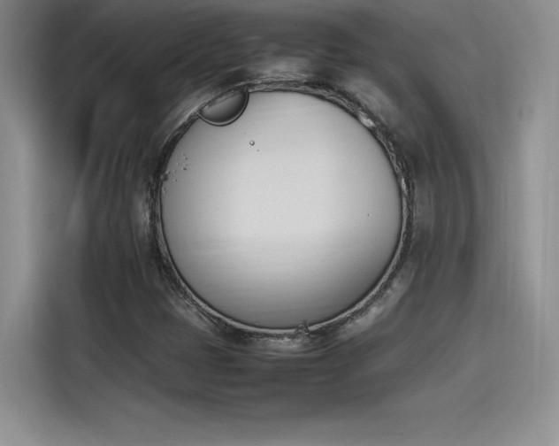 X0000114231401200910161600