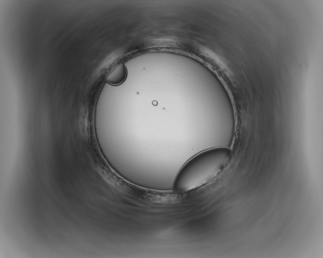 X0000114231403200910161600