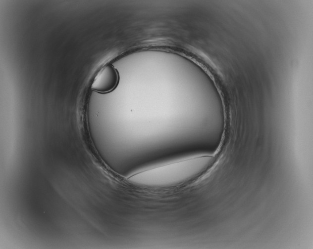 X0000114231405200910161600