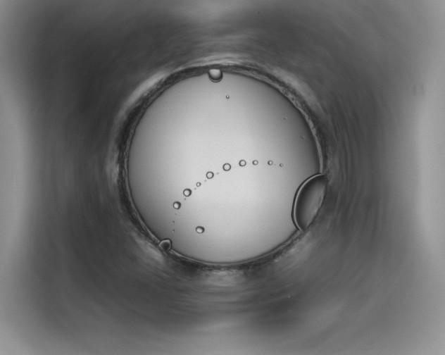 X0000114231406200910161600