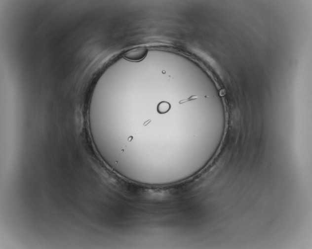 X0000114231407200910161600