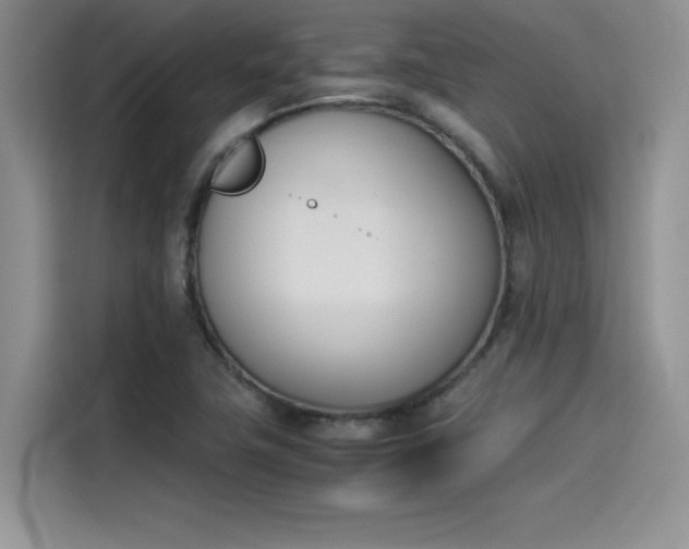 X0000114231411200910161600