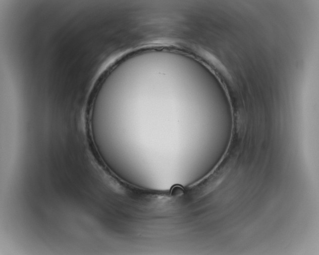 X0000114231412200910161600