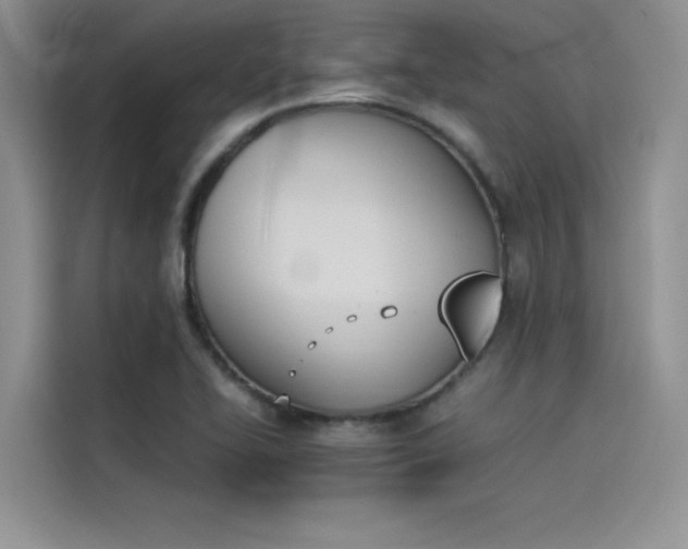 X0000114231414200910161600