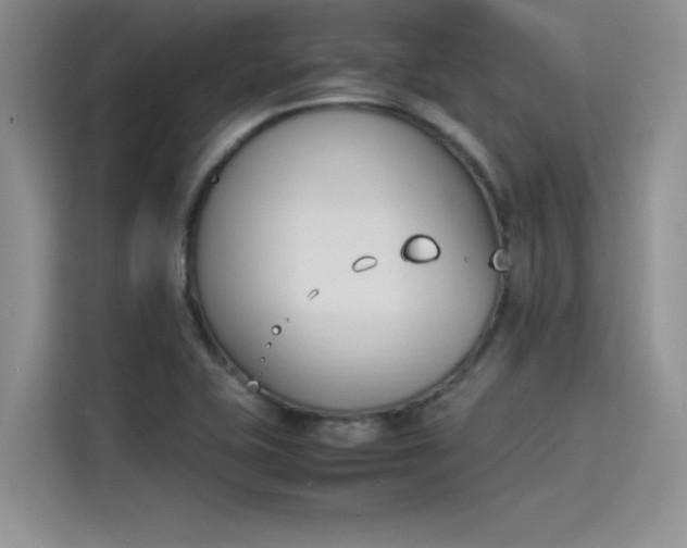 X0000114231415200910161600