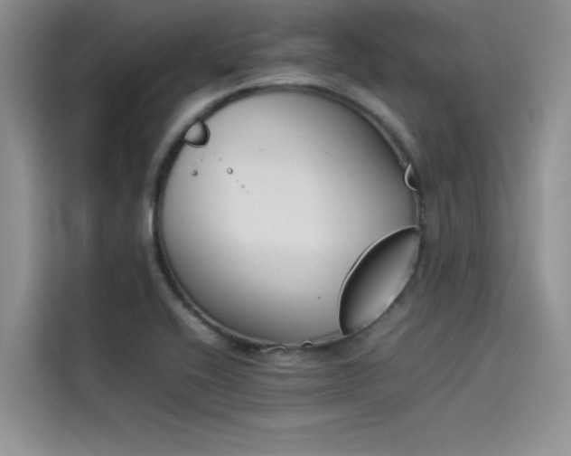 X0000114231416200910161600