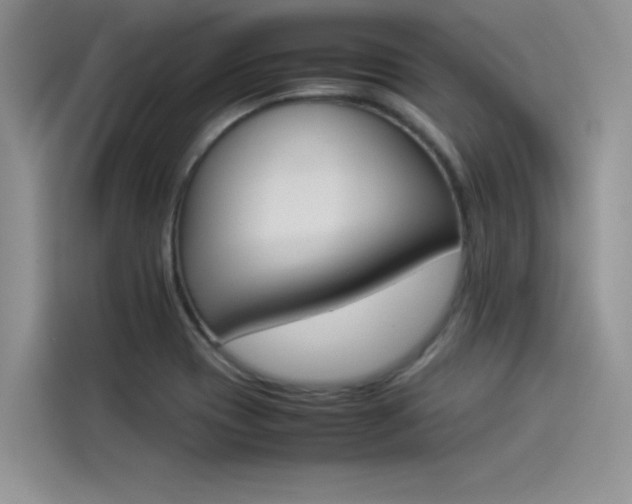 X0000114231417200910161600