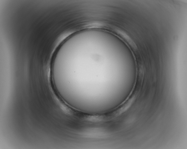 X0000114231418200910161600